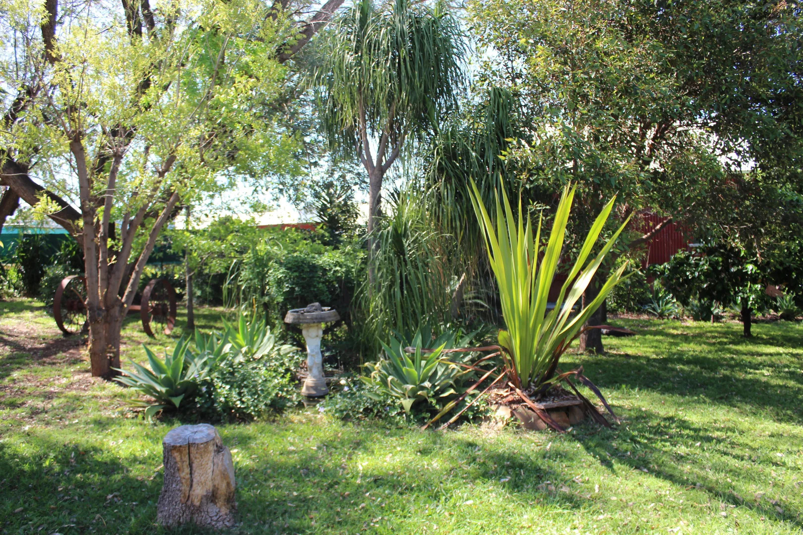 Image 22
