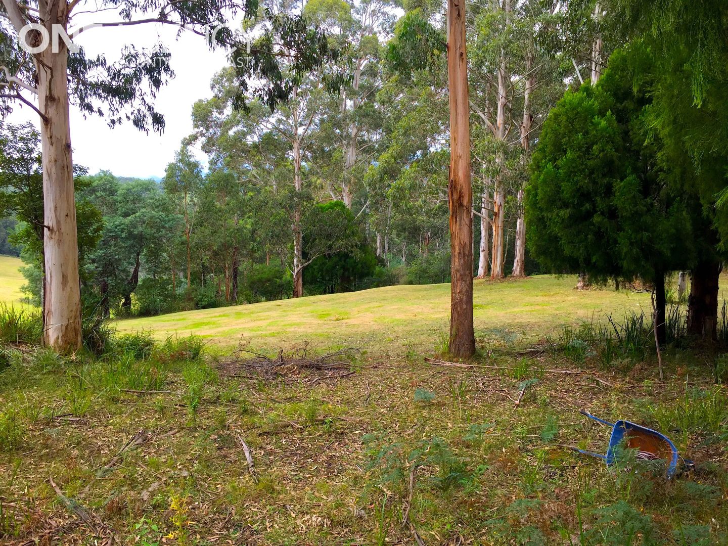 15/2260 Mt Baw Baw Tourist Road, Icy Creek VIC 3833, Image 2