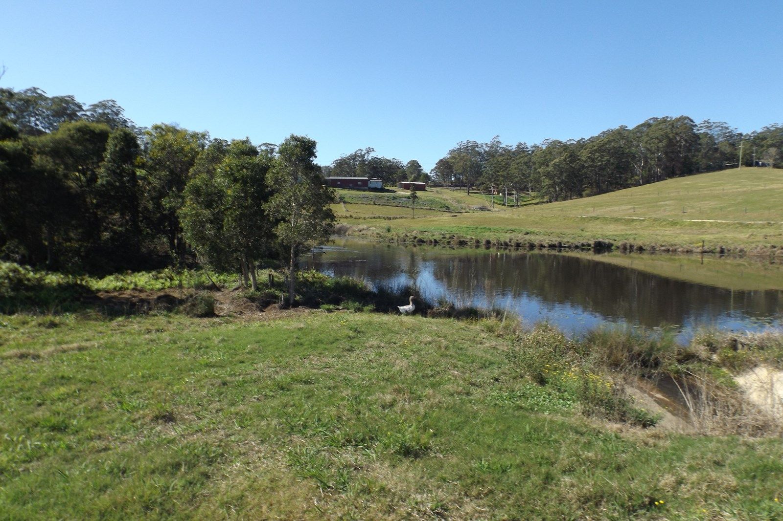 Lot 11 Christine Close - Wirrimbi Estate, Macksville NSW 2447, Image 2