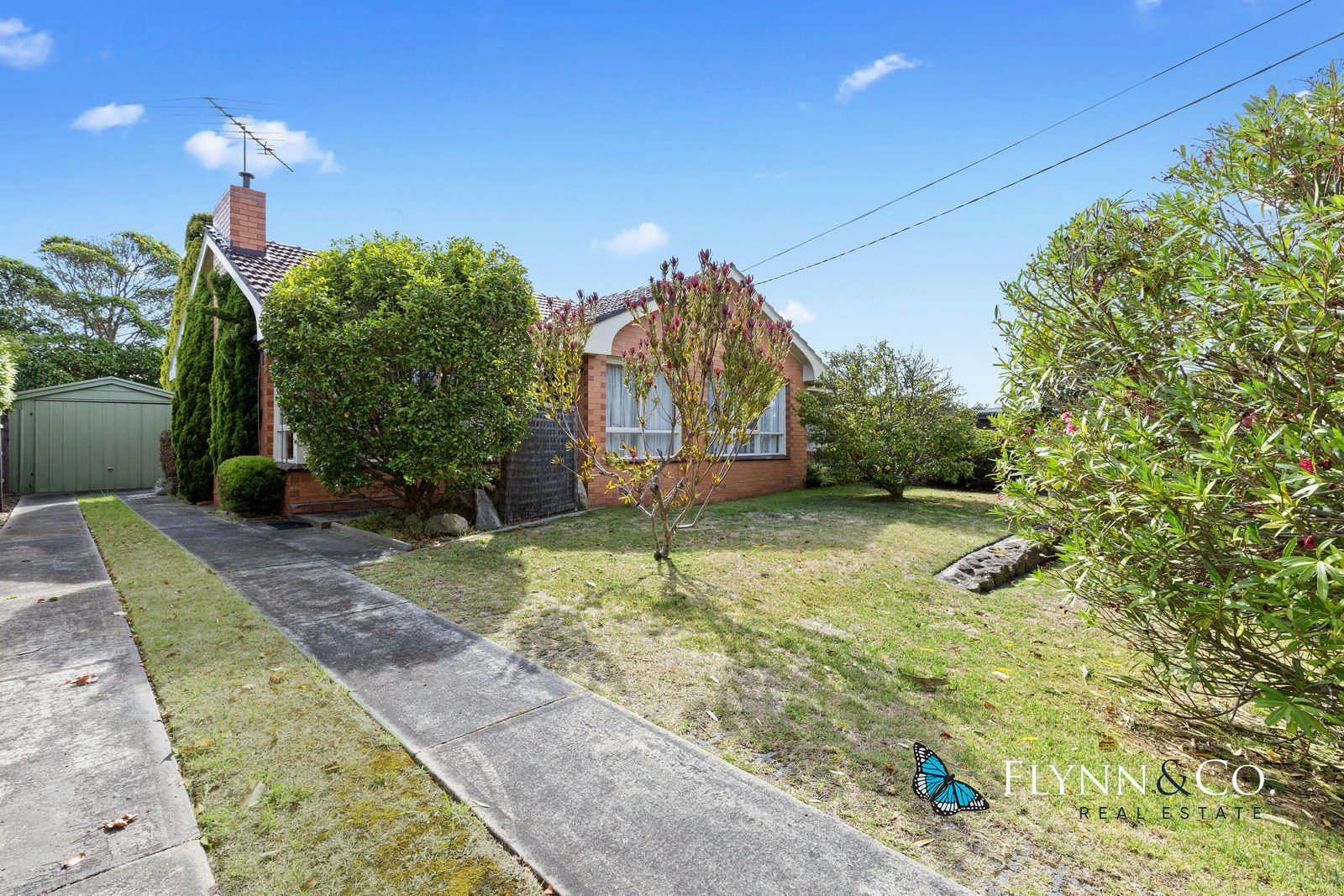 12 William Crescent, Capel Sound VIC 3940, Image 0