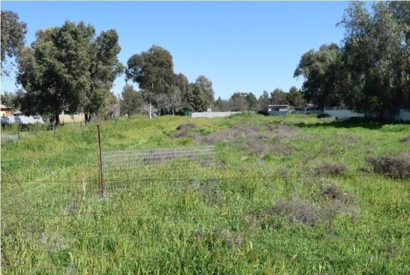 lot 1/west stree Trundle, Trundle NSW 2875, Image 2