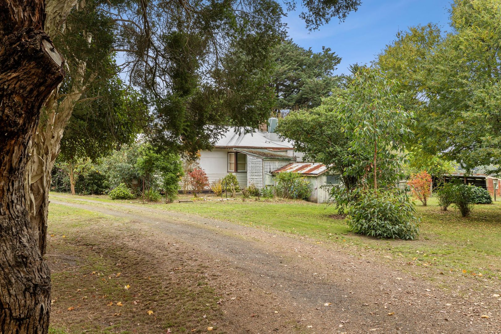 44 Wallaces Road, Barwon Downs VIC 3243 House for Sale 1,590,000