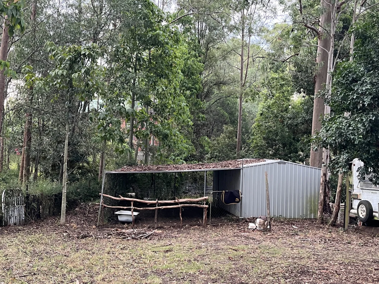 Image 10