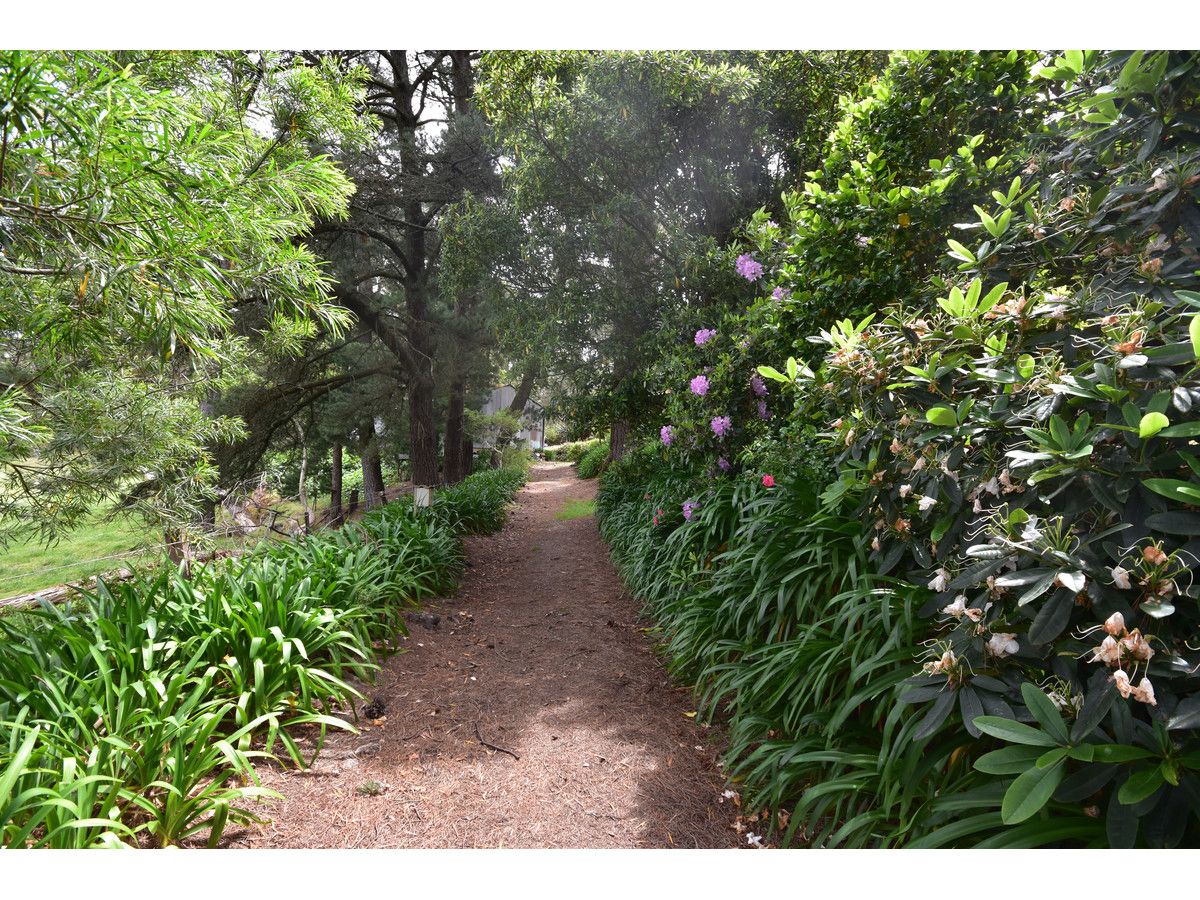 Forest Range SA 5139, Image 1