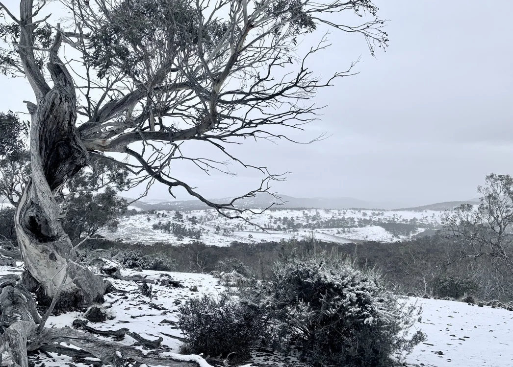 Additional image 31 of 944 Jones Plains Road, Shannons Flat NSW 2630