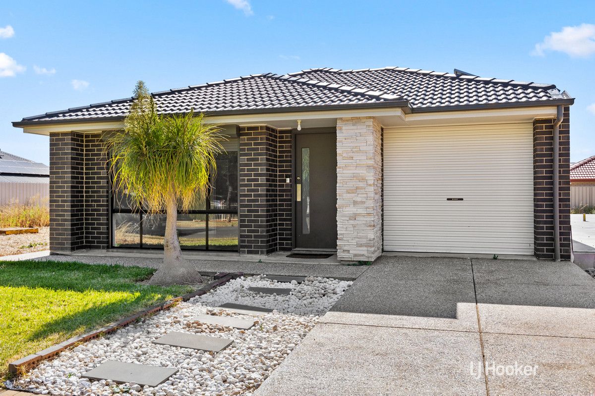 29 Broadmeadows Road, Elizabeth North SA 5113, Image 2