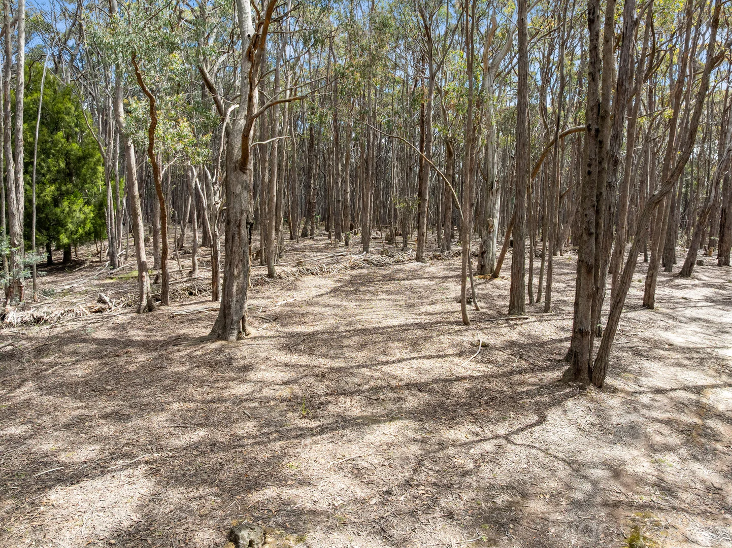 Image 9
