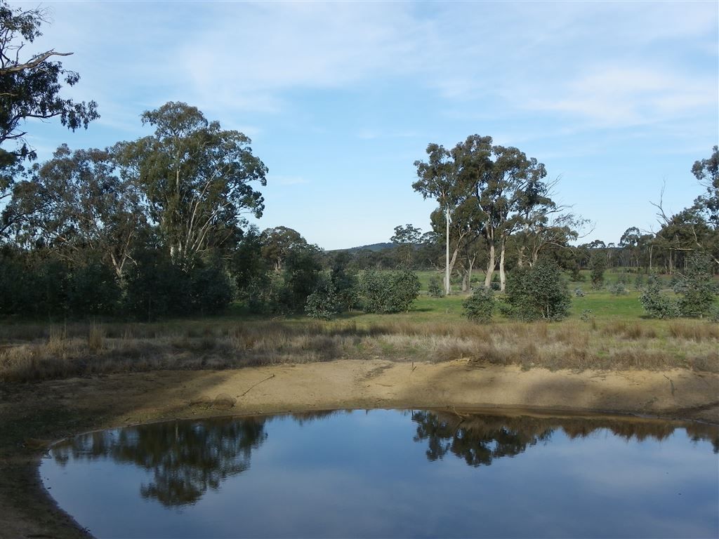 CRN Northern Highway & Toolleen Axedale Road, Toolleen VIC 3551, Image 1