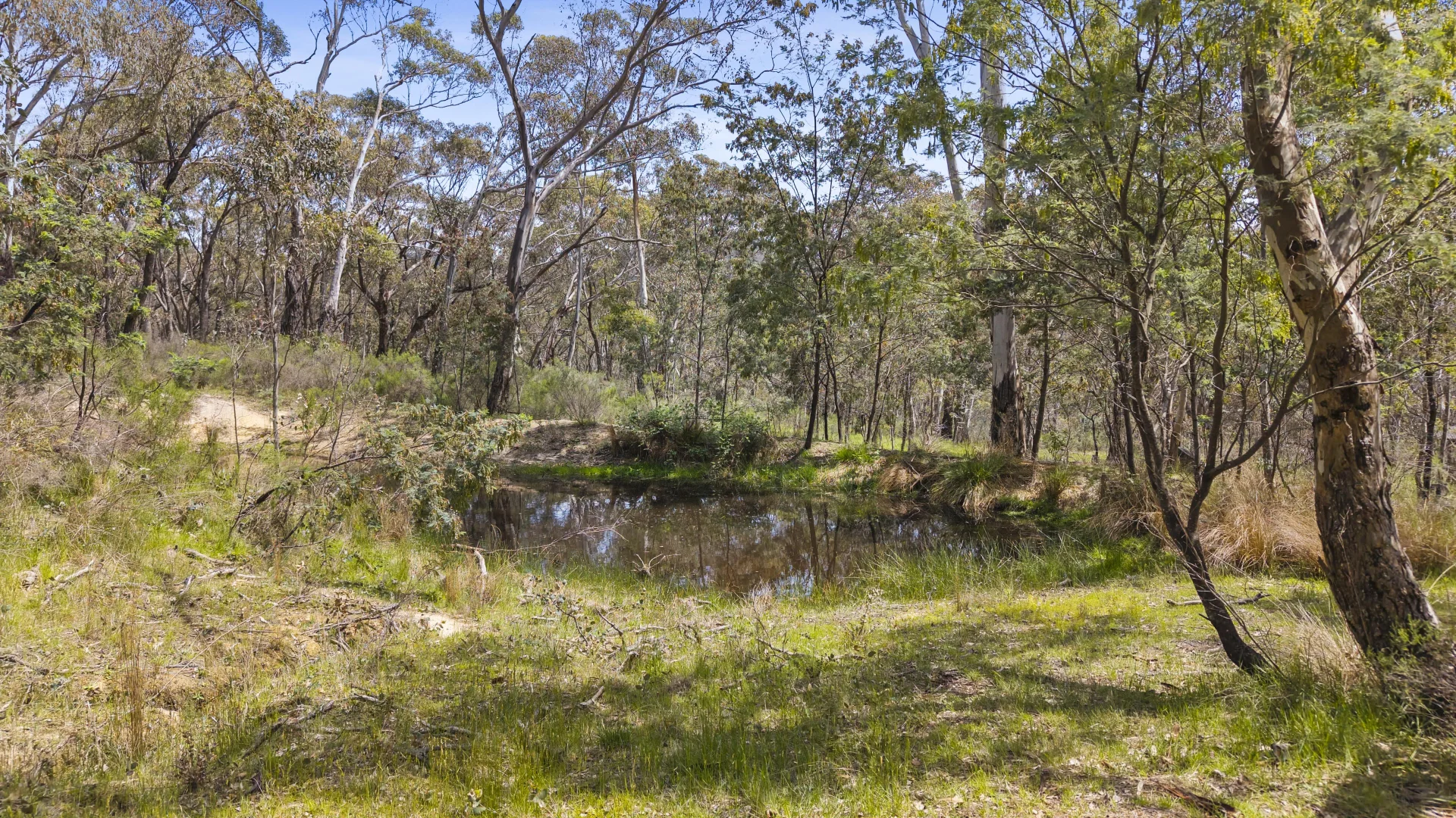 Image 15