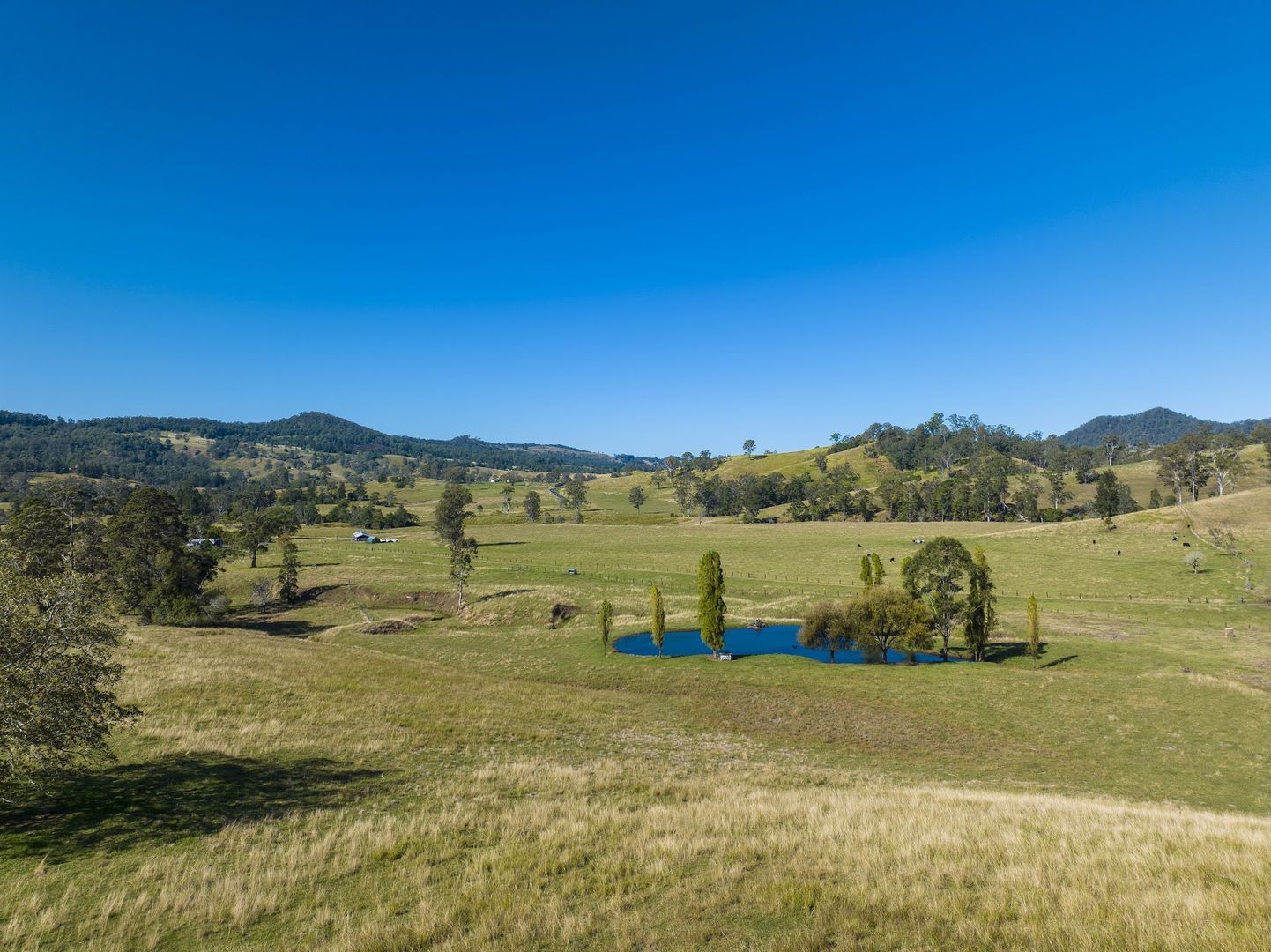 927 Cawongla Road, Larnook NSW 2480, Image 1