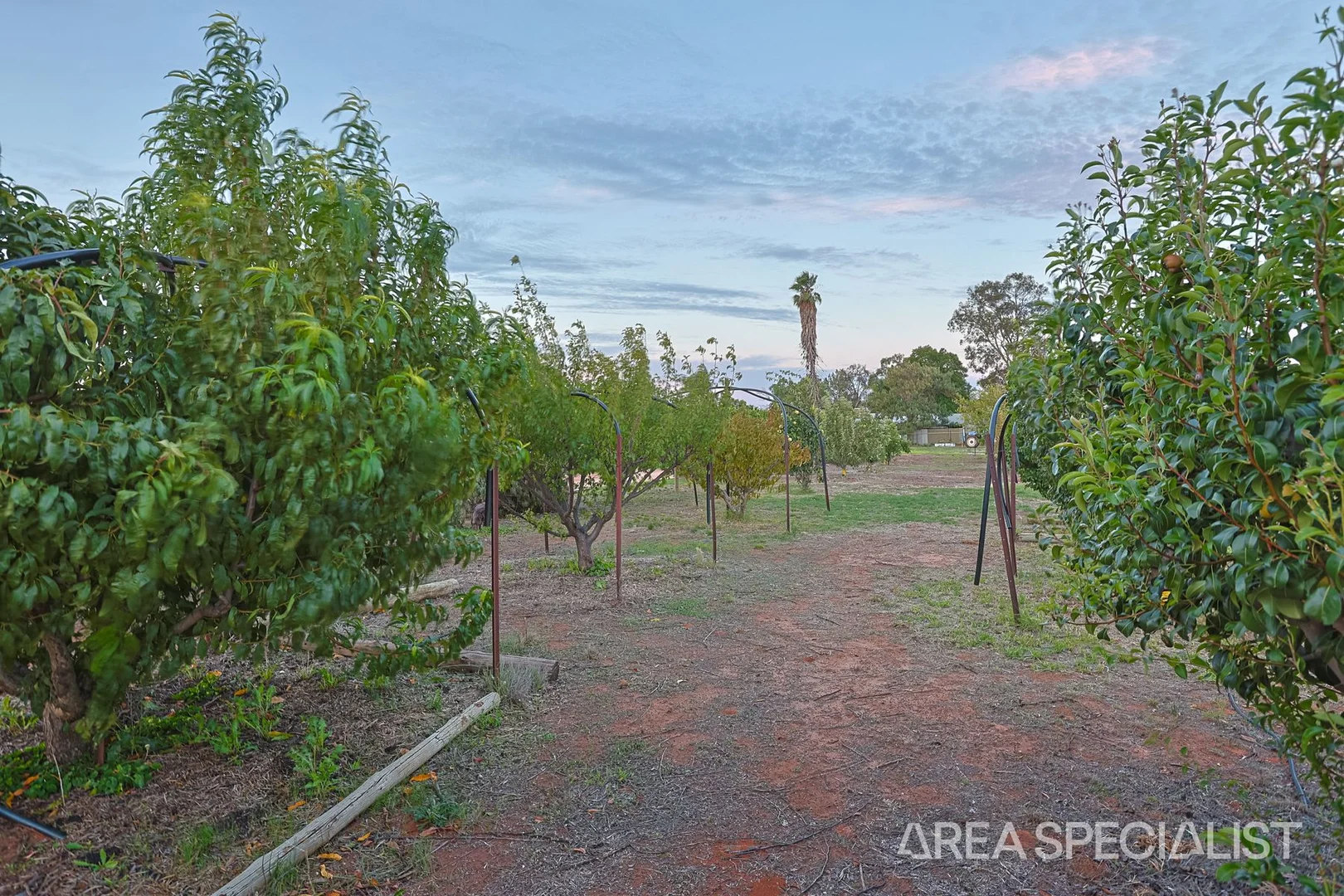 Additional image 25 of 292 Boomerang Avenue, Cardross VIC 3496