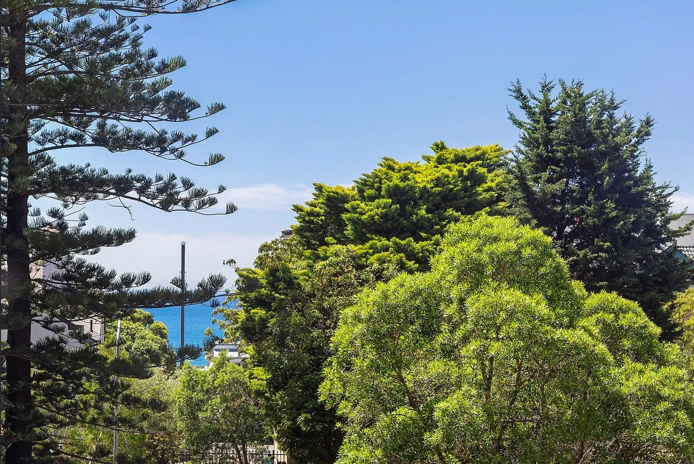 Additional image 6 of 6409/32 Wellington Street, Bondi NSW 2026