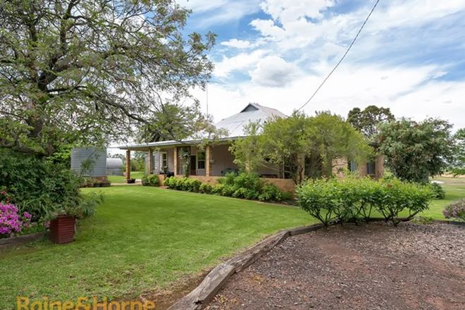 Picture of 2420 Old Narrandera Road, EUBERTA NSW 2650