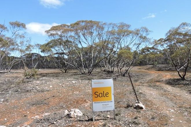 Picture of Lot 7 Hundred Line Road, BOWHILL SA 5238