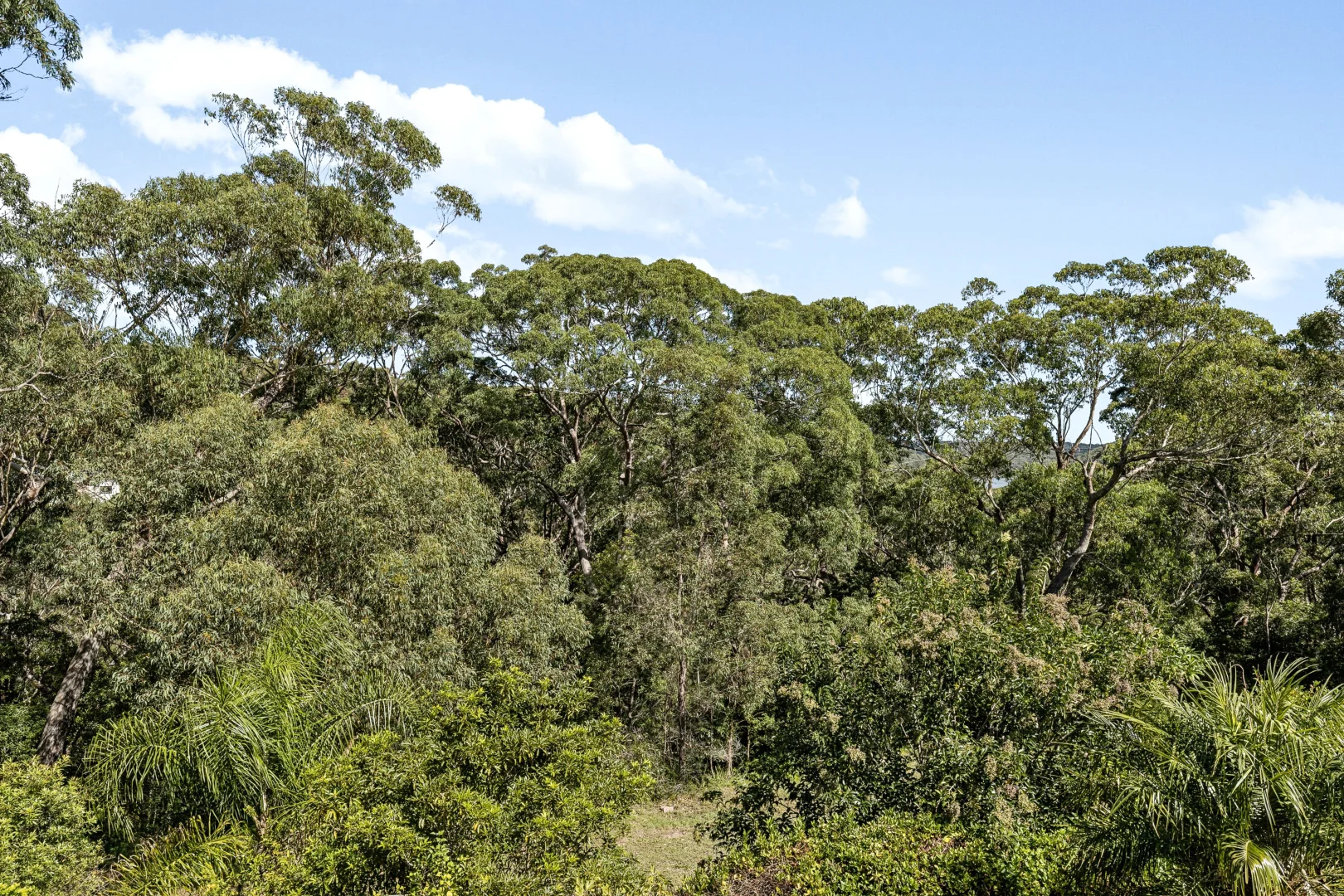 Additional image 10 of 21 Clair Crescent, Padstow Heights NSW 2211