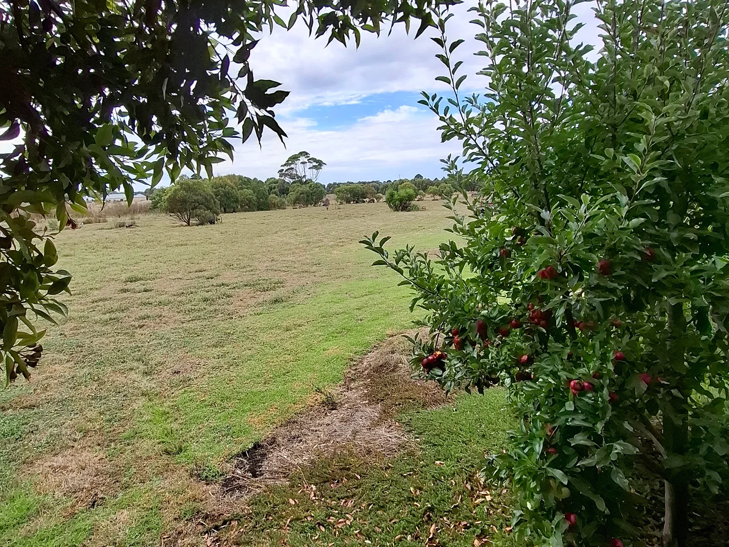 Additional image 15 of 38 Dyson Street, Port Fairy VIC 3284