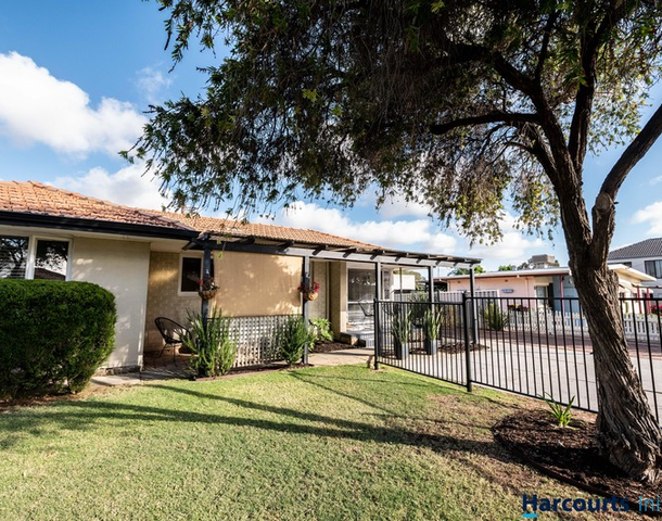 6 Lavant Way, Balga WA 6061