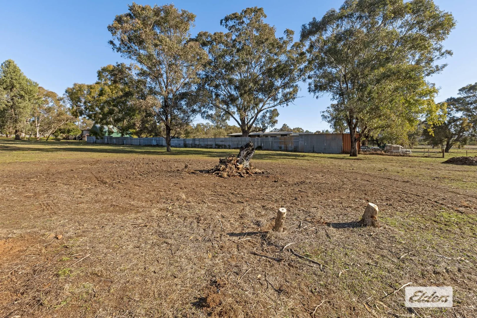 Image 12