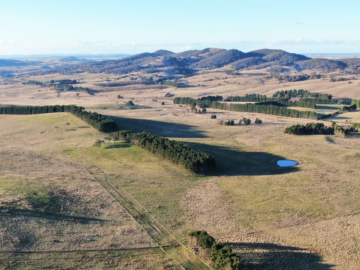 Bungendore Road, Tarago NSW 2580 House for Sale Domain