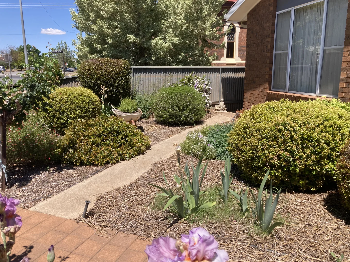 Image 10
