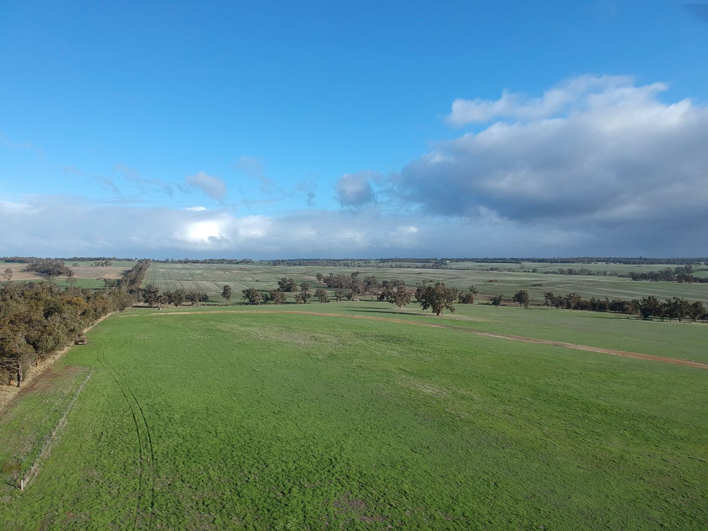 Lot 5688 Jingalup Road, Jingalup WA 6395, Image 1