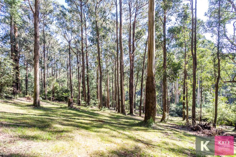 16 Lisheen Road, Cockatoo VIC 3781, Image 1