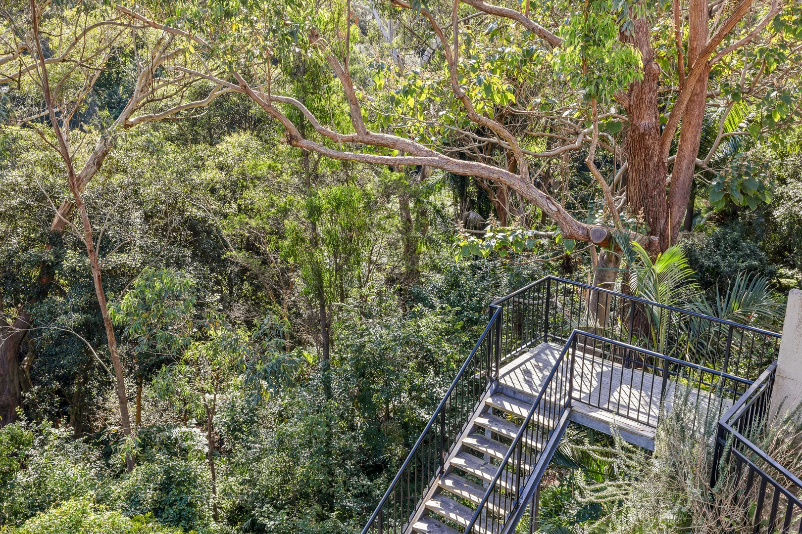 Additional image 6 of 66D Milray Avenue, Wollstonecraft NSW 2065