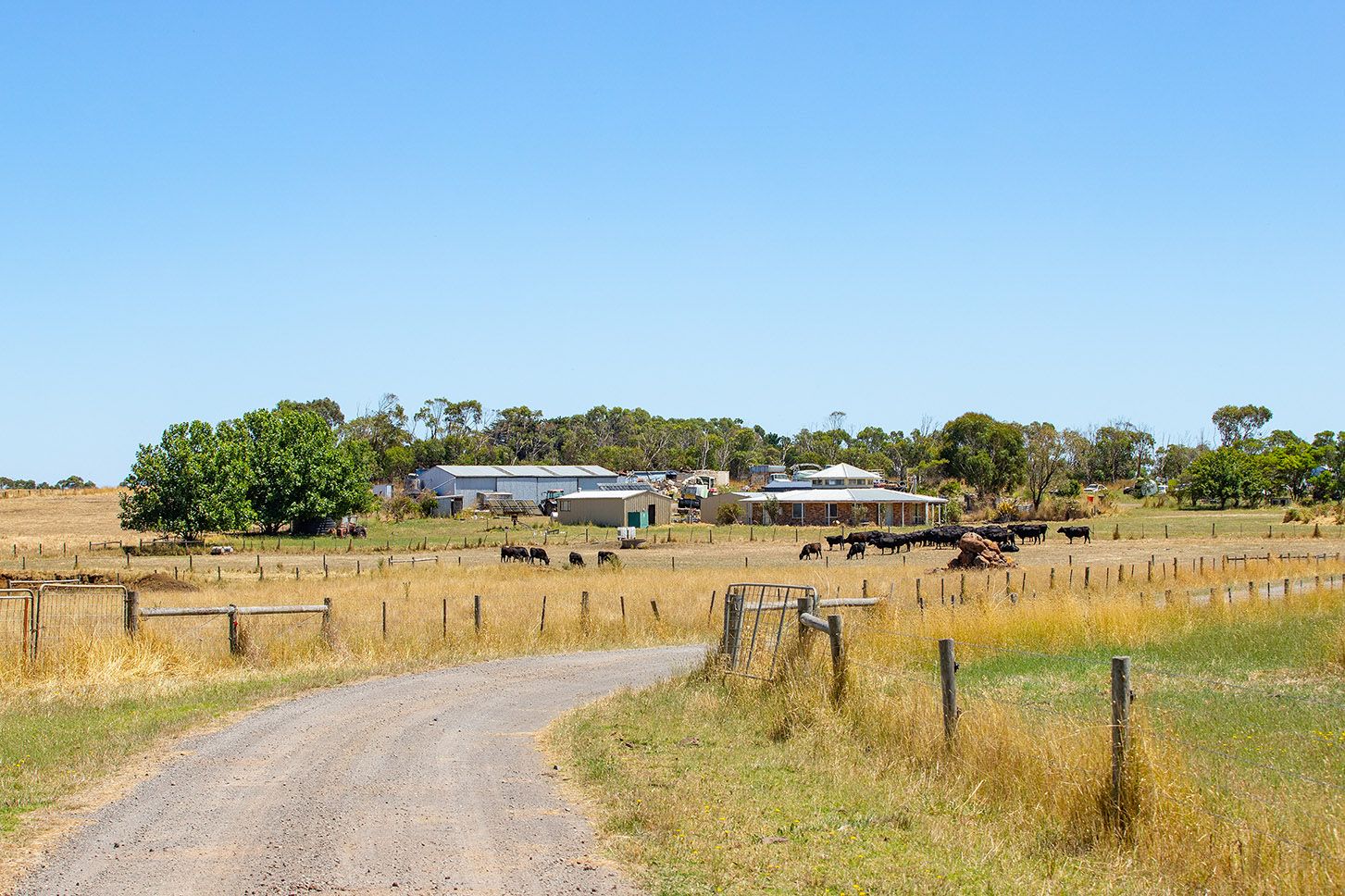 1205 Hopkins Highway, Purnim West VIC 3278, Image 1