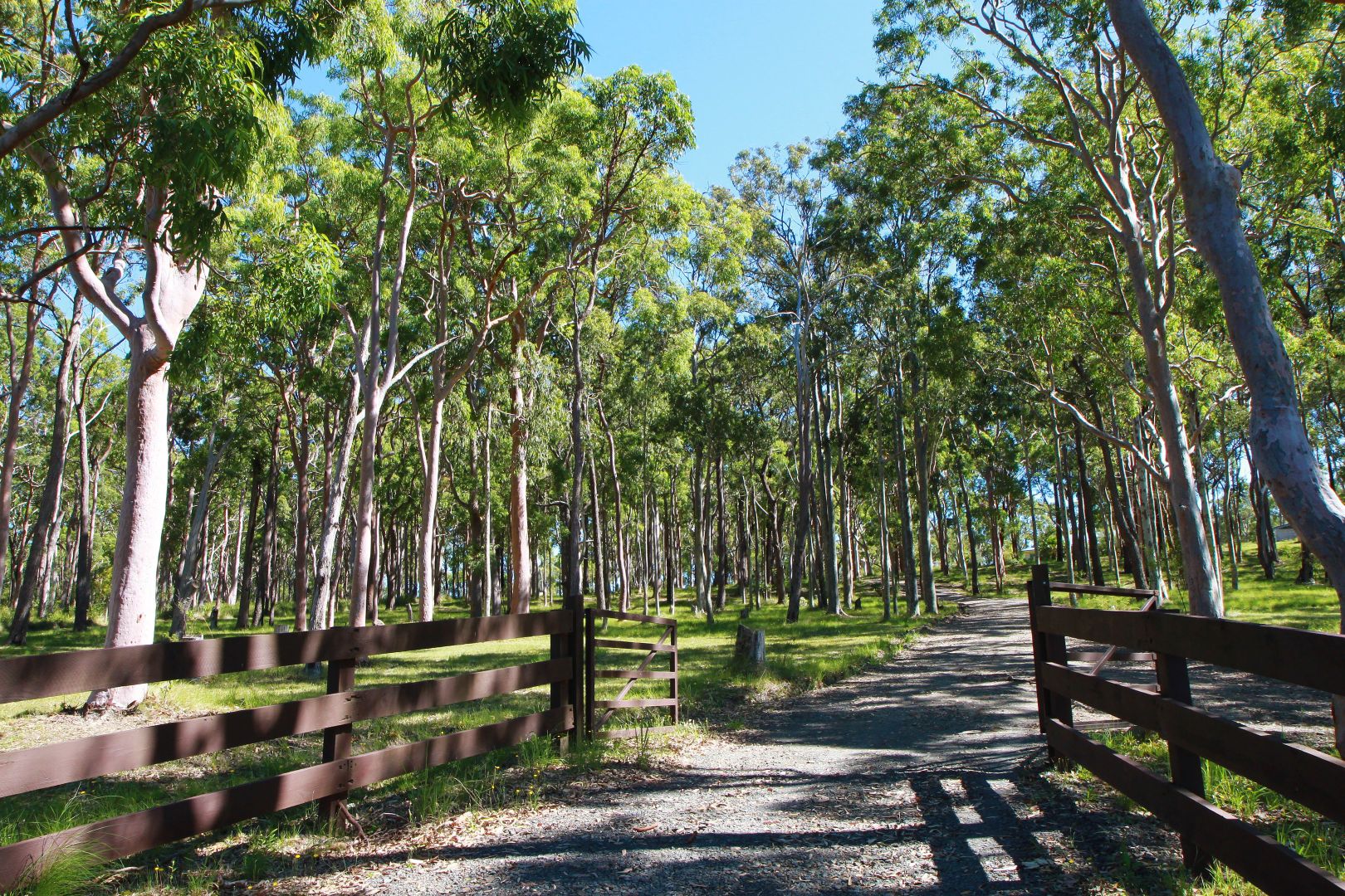 230 Bundabah Road, Bundabah NSW 2324, Image 1