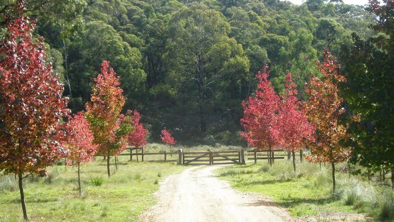 Lot 82 Lawsons Long Alley, HARTLEY VALE NSW 2790, Image 2