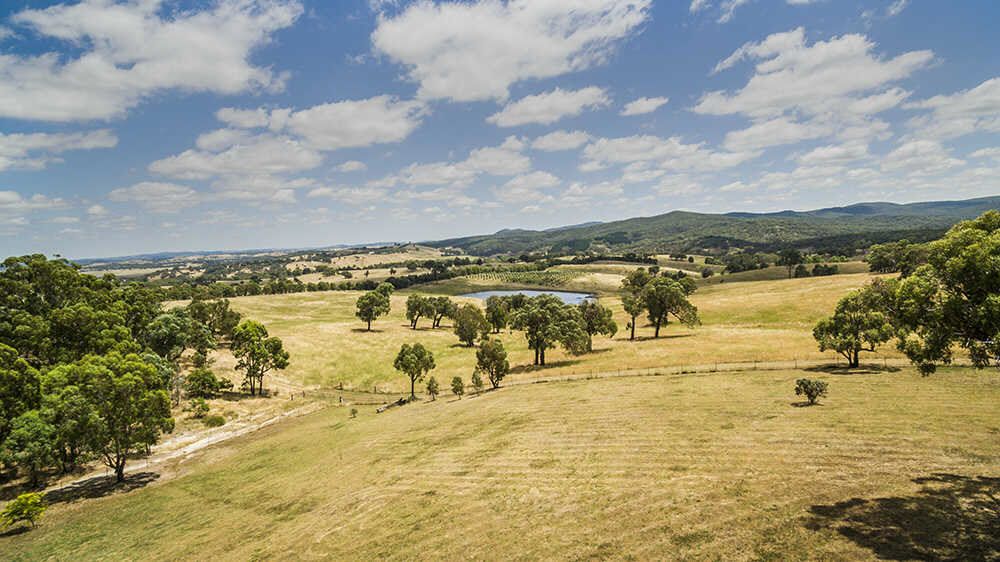 351 Marked Tree Road, Gundaroo NSW 2620, Image 1