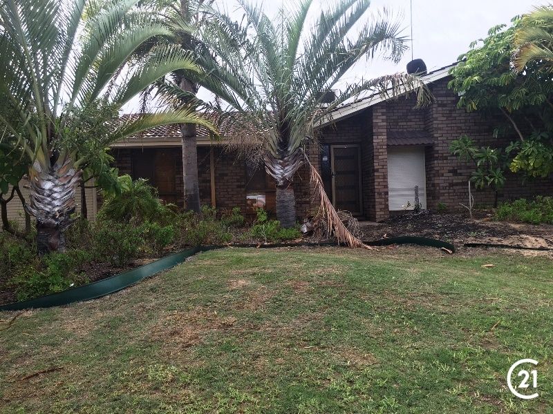 3 bedrooms House in 52 Glencoe Parade HALLS HEAD WA, 6210