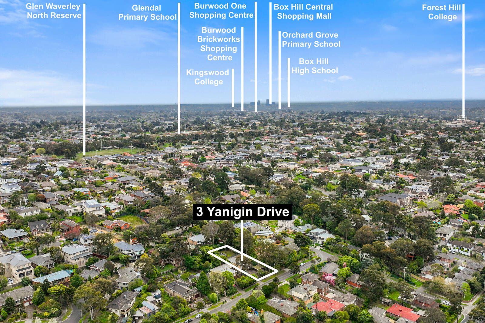 3-yanigin-drive-glen-waverley-vic-3150-domain
