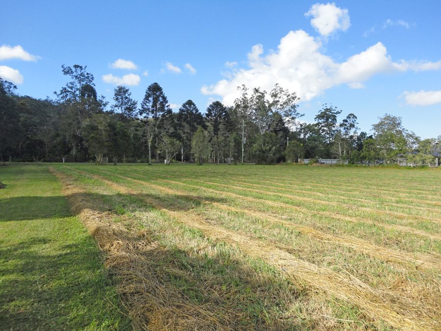 Lot 14, 0 Carrington Road, Carrington QLD 4883, Image 1