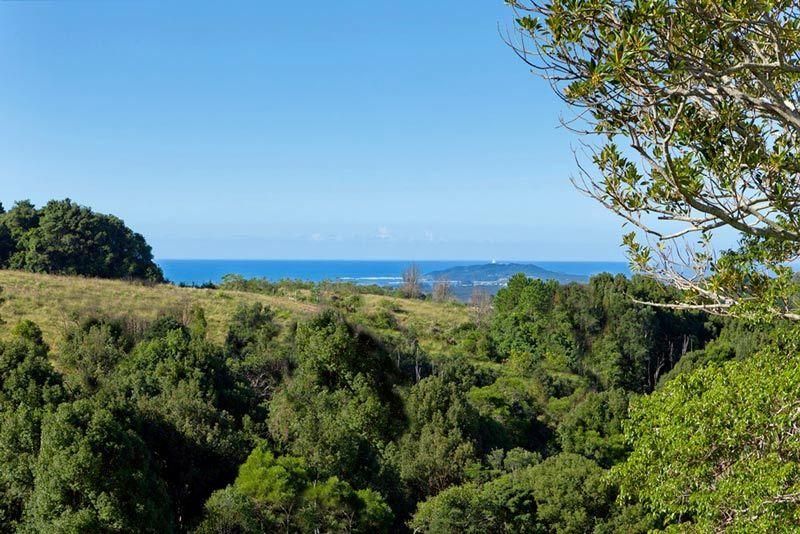 Lot 1 Pacific Highway, BANGALOW NSW 2479, Image 1