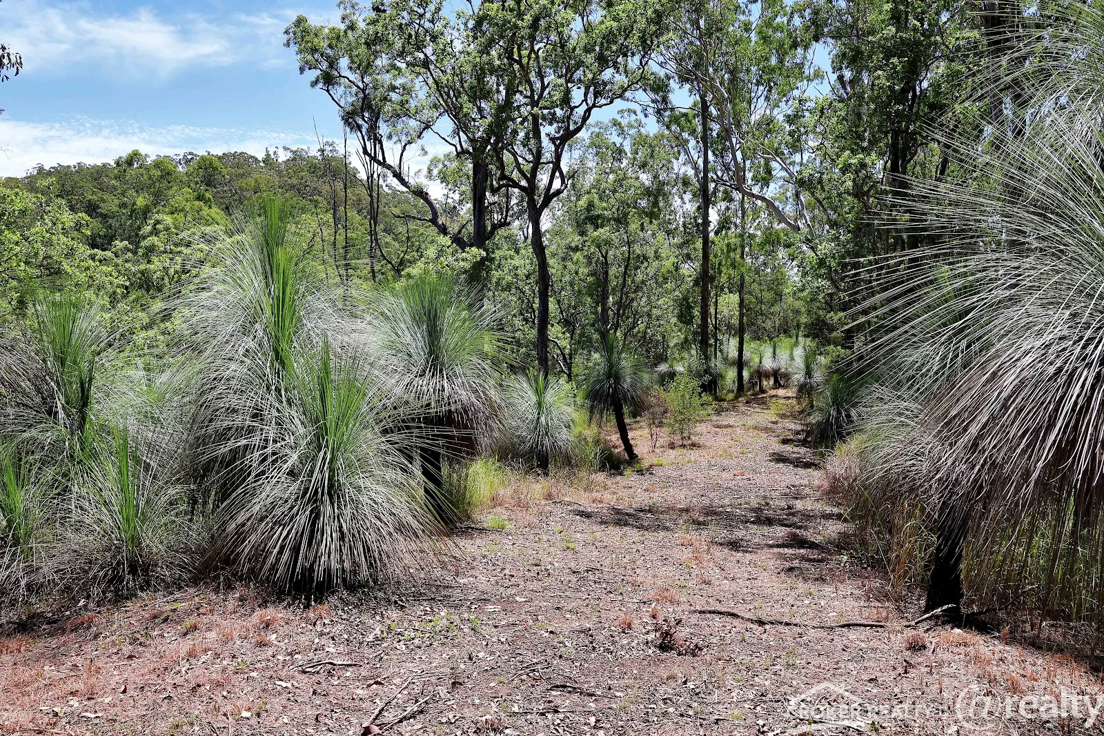 Additional image 5 of 25 Dingo Gully Road, Grevillia NSW 2474