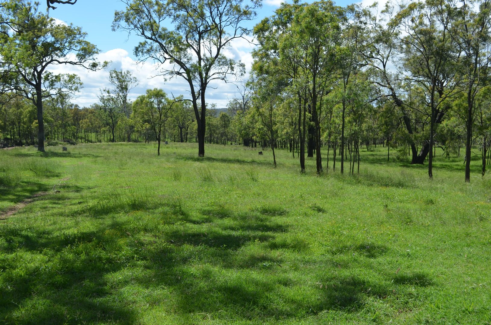 Lot 519 Reushle Road, Kleinton QLD 4352, Image 1