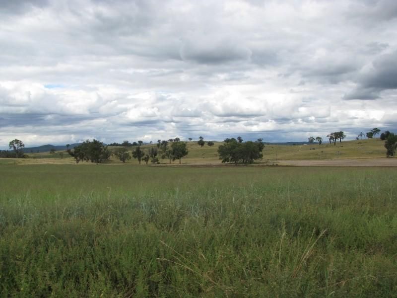 Emmaville NSW 2371, Image 1