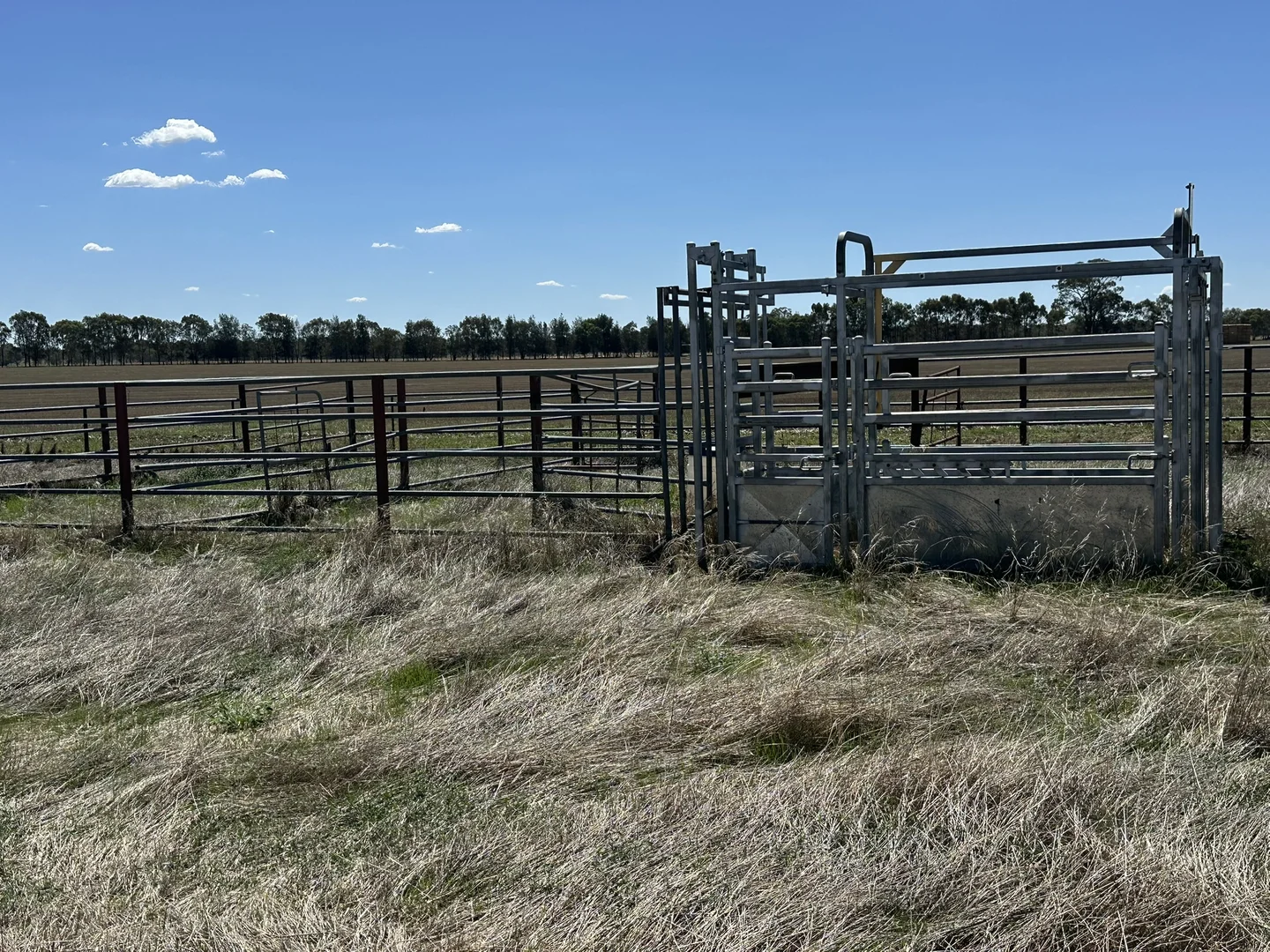 Additional image 10 of 1501 Howlong-Goombargana Road, Brocklesby NSW 2642