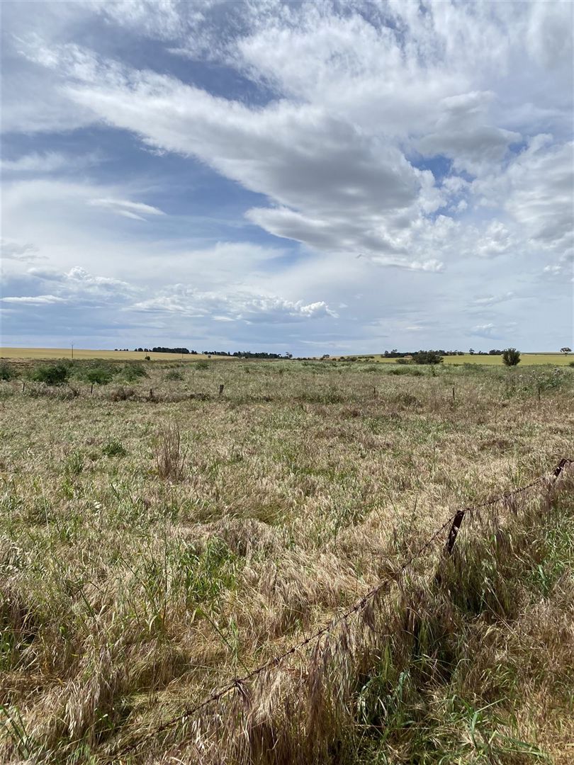 Lot 91 Horrocks Highway, Georgetown SA 5472, Image 2