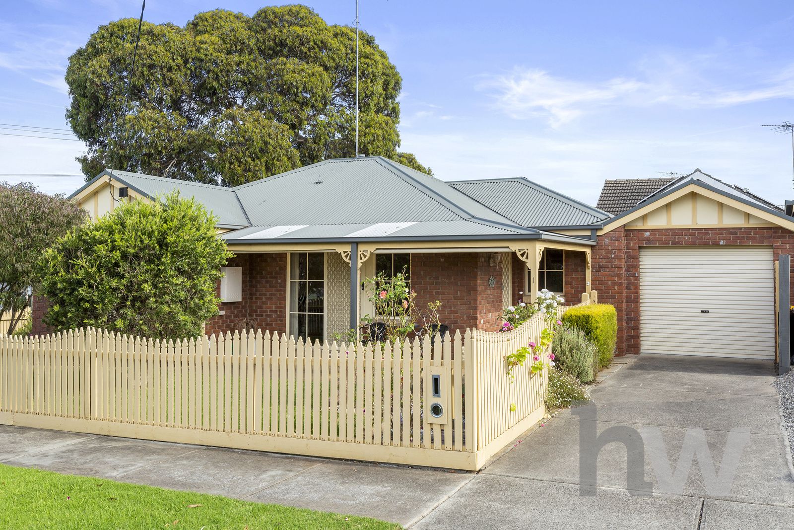 38 Francis Street, Belmont VIC 3216, Image 0