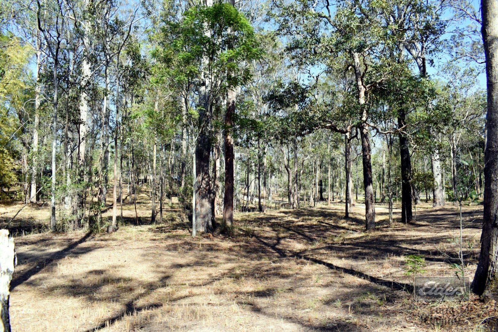 Lot 4 Stottenville Road, Bauple QLD 4650, Image 2