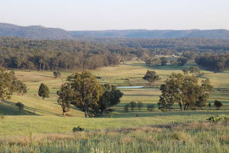 " NULLABONG", Coonabarabran NSW 2357, Image 2