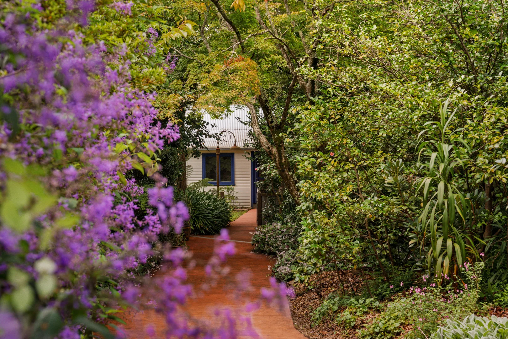 Image 15