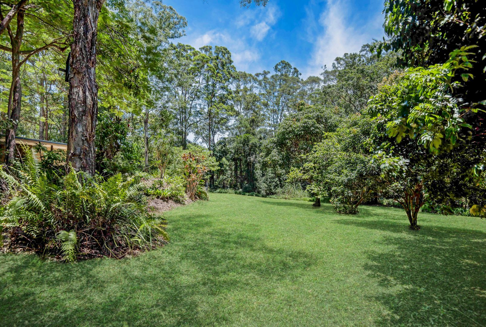 38 Grays Road, Doonan QLD 4562, Image 2