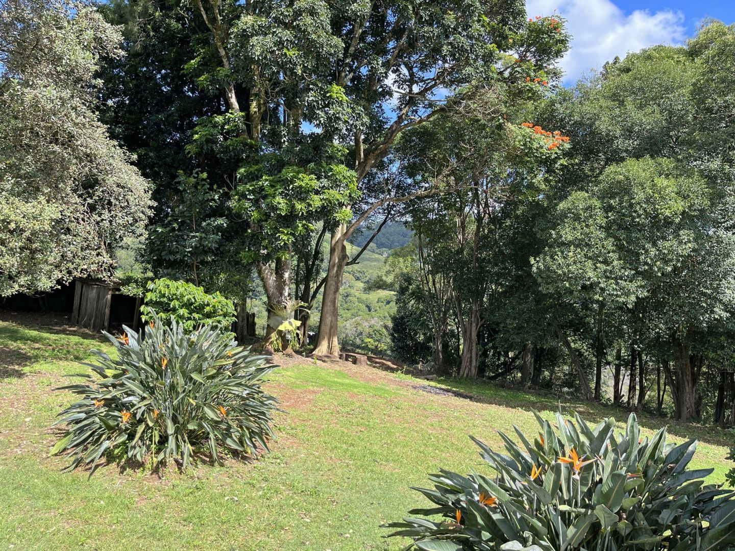 87 Maleny Kenilworth Road, Maleny QLD 4552, Image 2