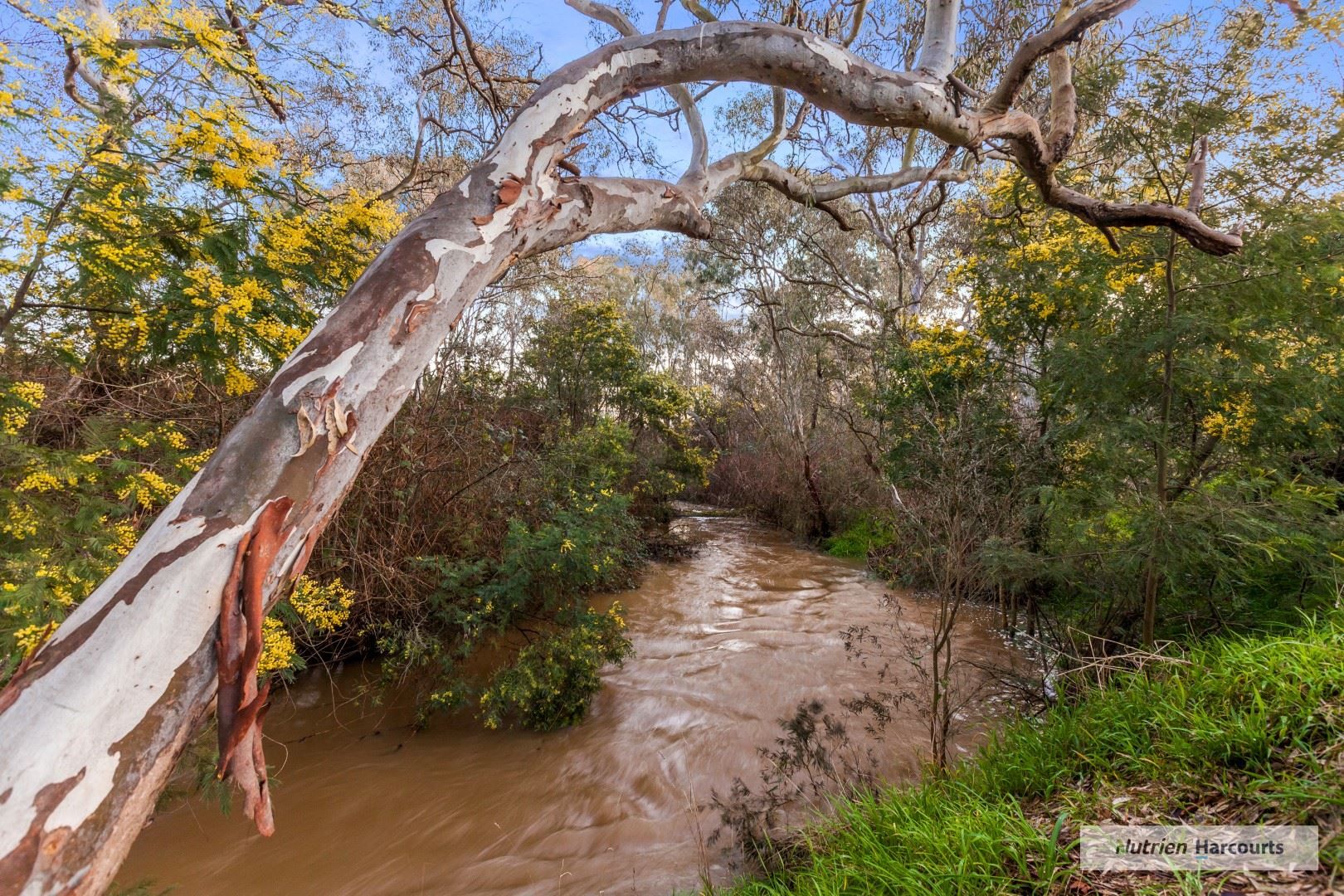 18 Lodge Street, Tallarook VIC 3659, Image 1