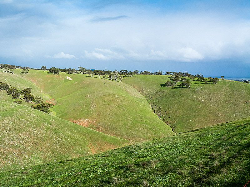 L11 Steep Hill Road, Rockleigh SA 5254, Image 2