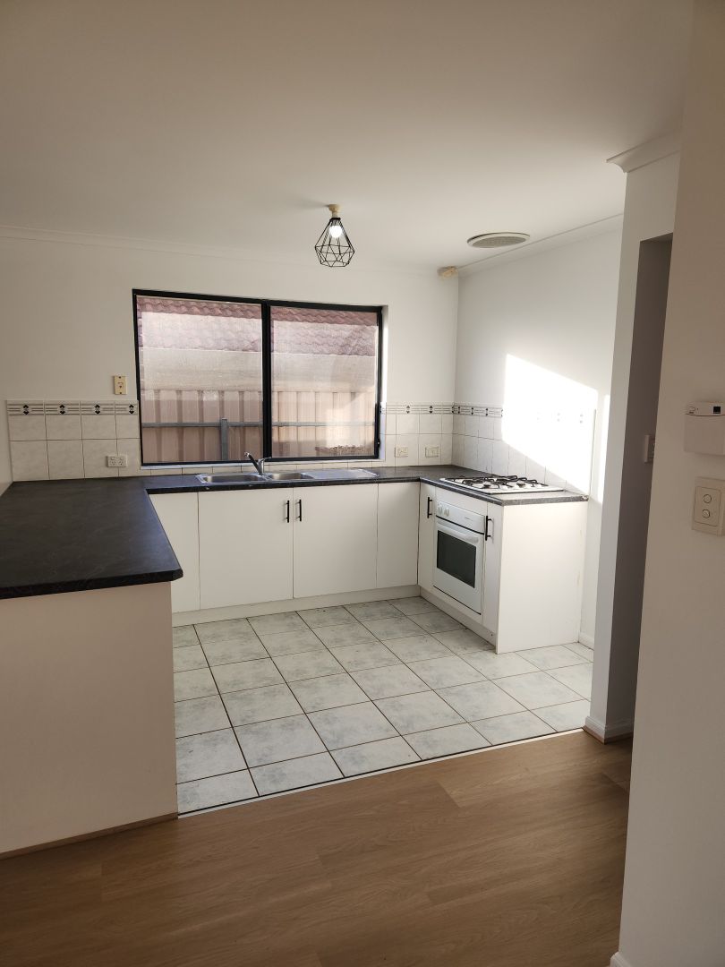 10 Axminster Crescent, Craigmore SA 5114 House For Rent 490 Domain