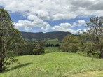 Image 14